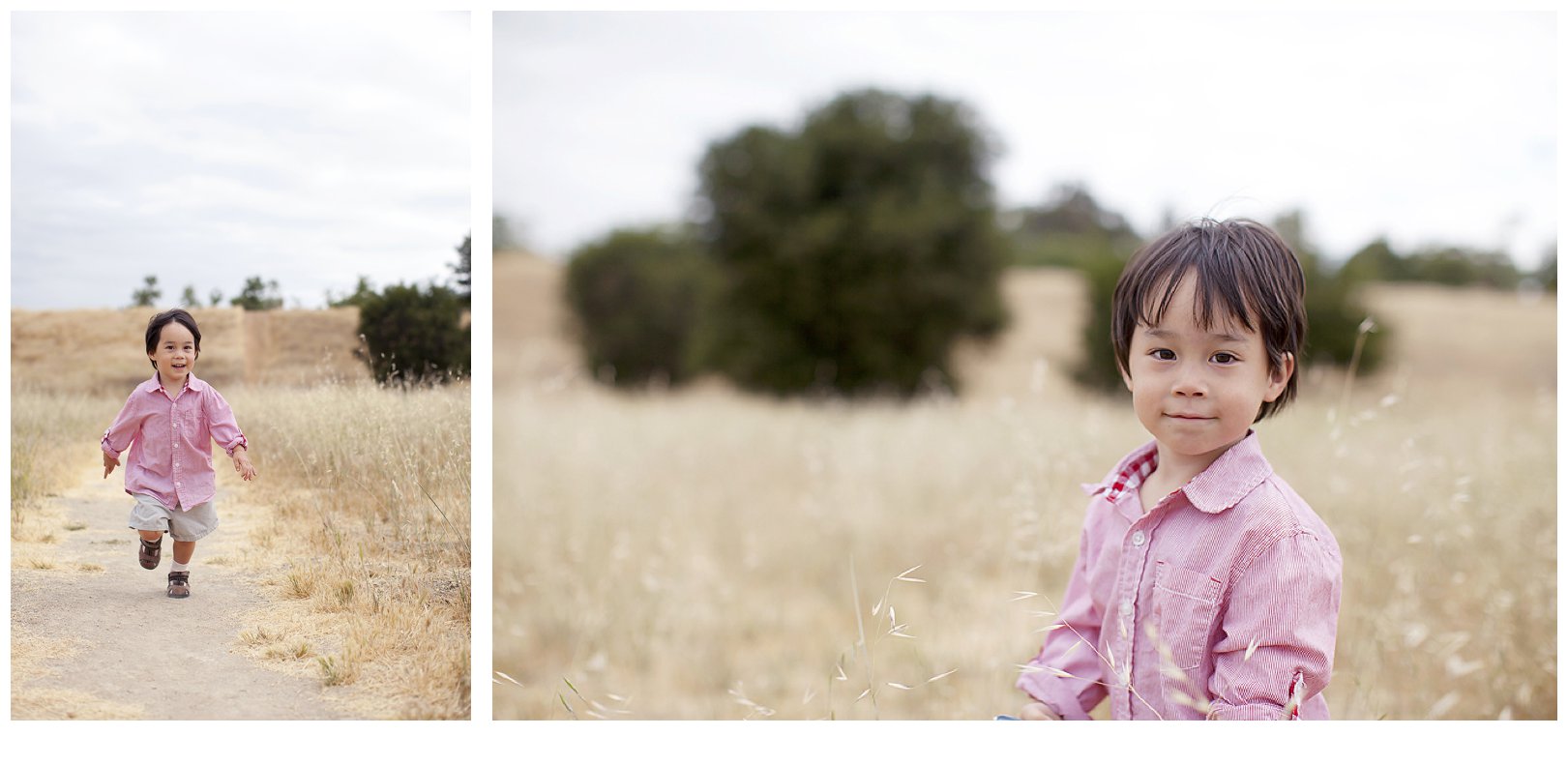 P Squared Studios | San Jose, California, family photographer_0003 www.PSquaredStudios.com, family photographer, Los Altos, California