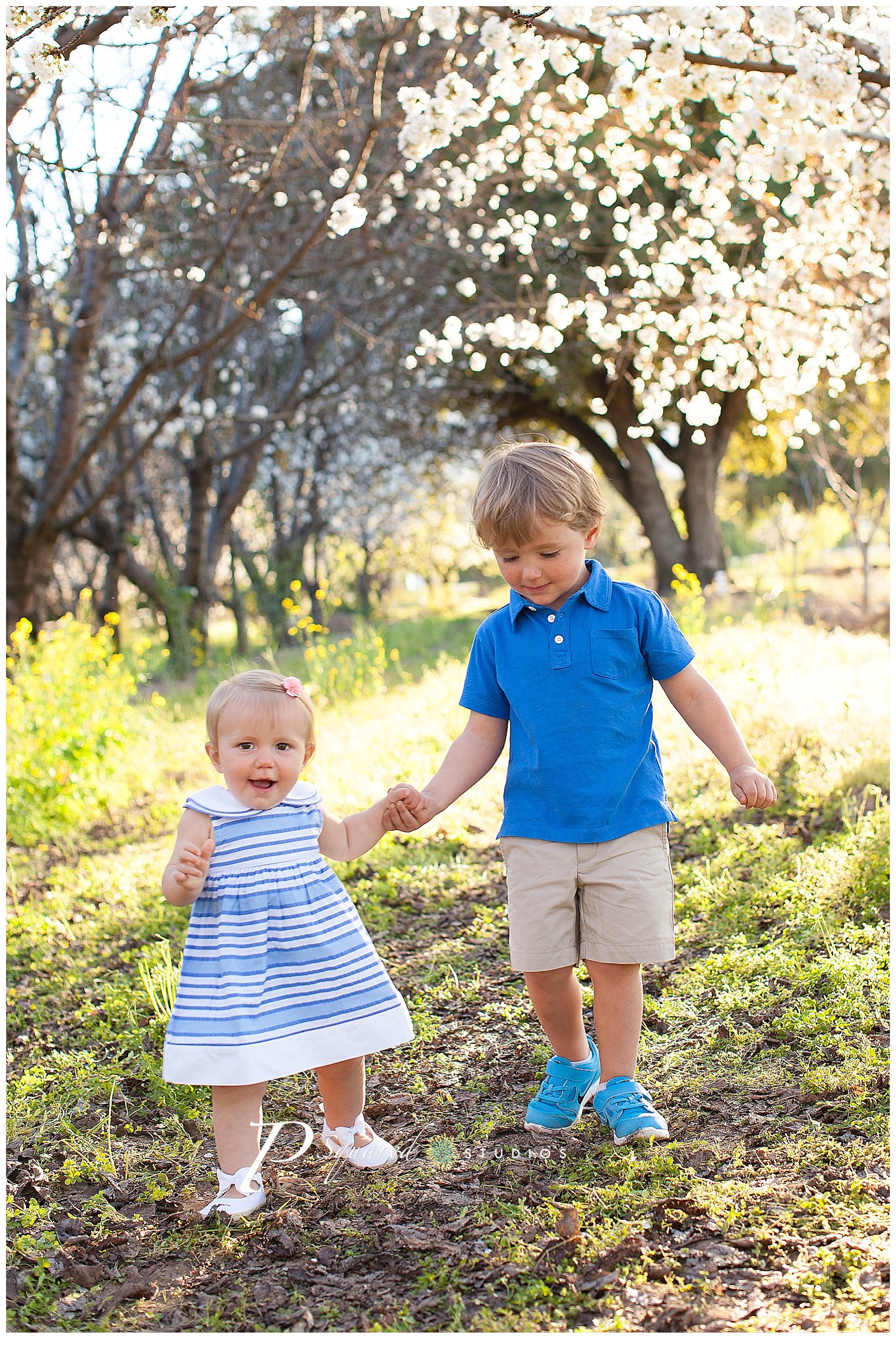 www.PSquaredStudios.com, Family Photographer, Saratoga, California