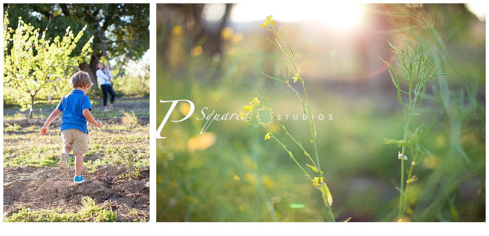 www.PSquaredStudios.com, Family Photographer, Saratoga, California