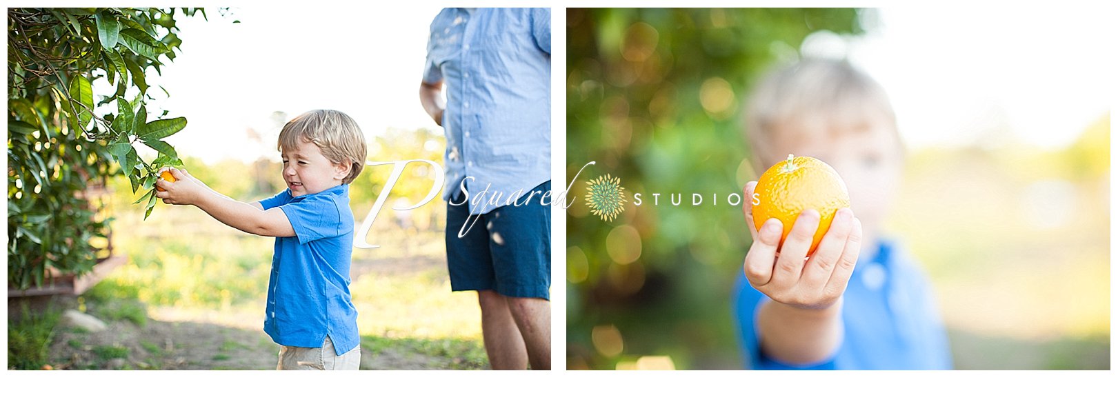 www.PSquaredStudios.com, Family Photographer, Saratoga, California