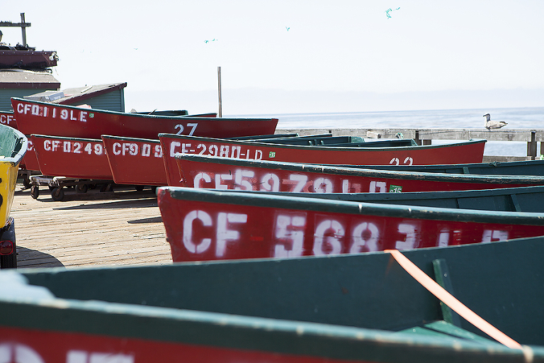 www.psquaredstudios.com| capitola, california