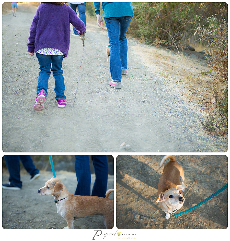 www.PSquaredStudios.com, Family Photographer, San Jose, California