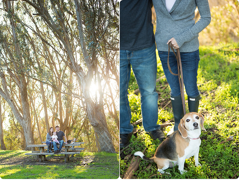 www.PSquaredStudios.com| Santa Cruz, California | Family Photographer