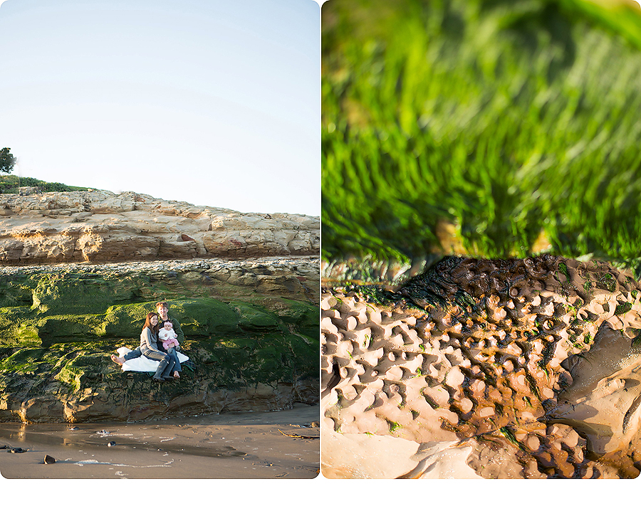 www.PSquaredStudios.com| Santa Cruz, California | Family Photographer
