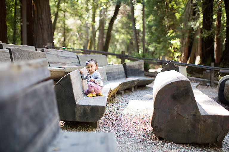 www.PSquaredStudios.com | Big Basin, California | Family Photographer