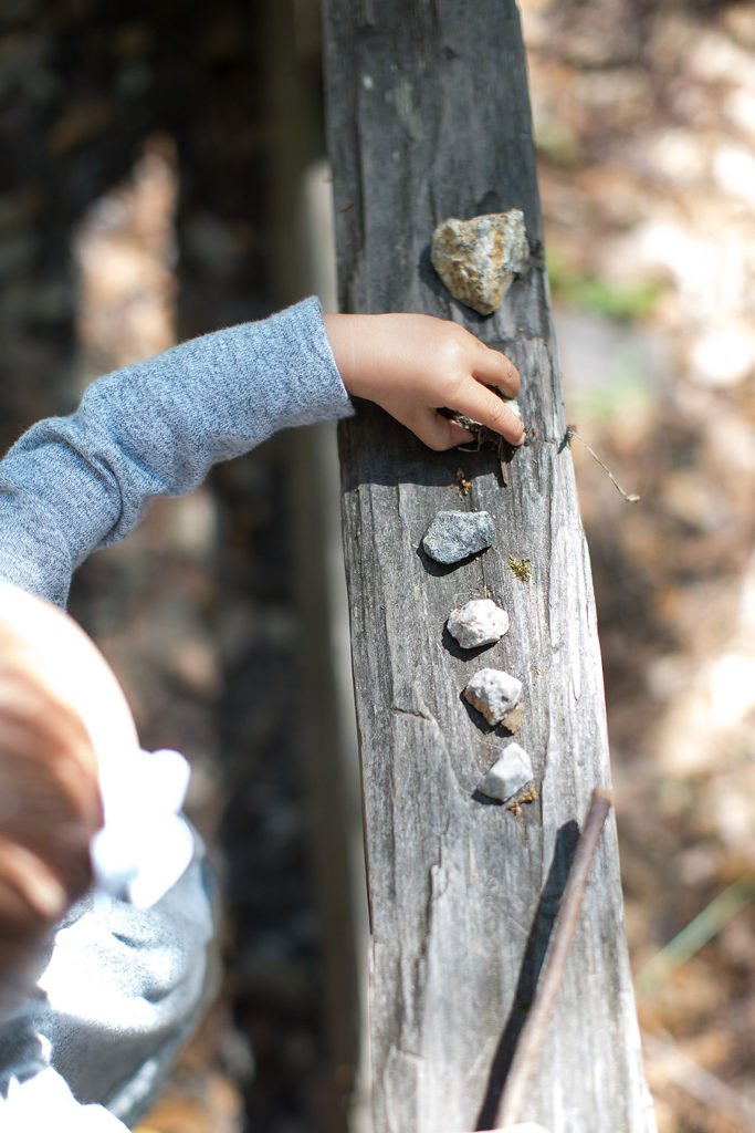www.PSquaredStudios.com | Big Basin, California | Family Photographer