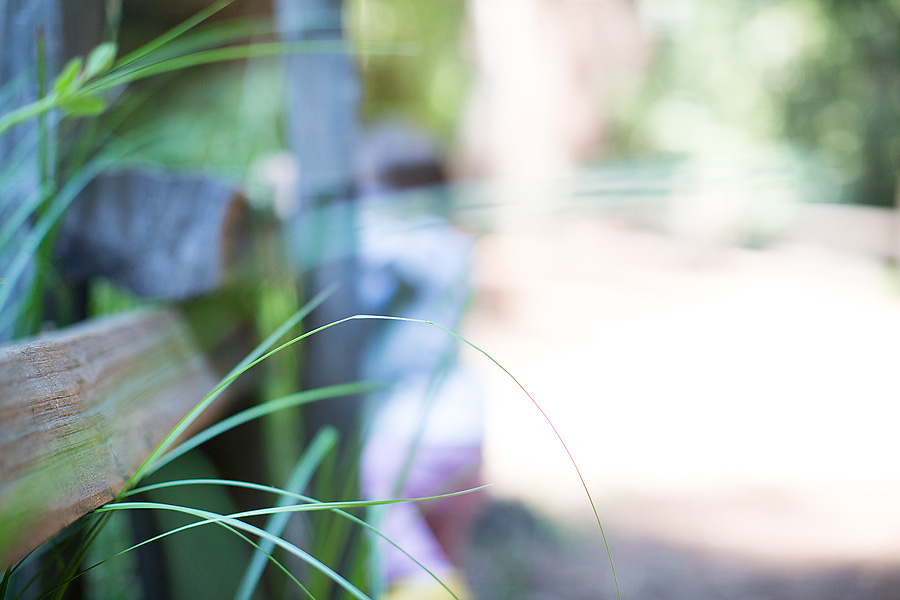 www.PSquaredStudios.com | Big Basin, California | Family Photographer