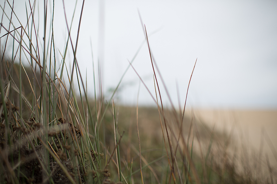 www.PSquaredStudios.com | Santa Cruz, California |Family Photographer