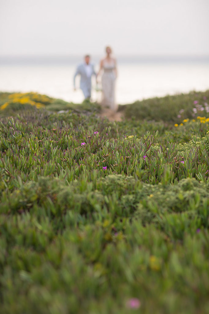 www.PSquaredStudios.com | Family Photographer | Big Sur, California