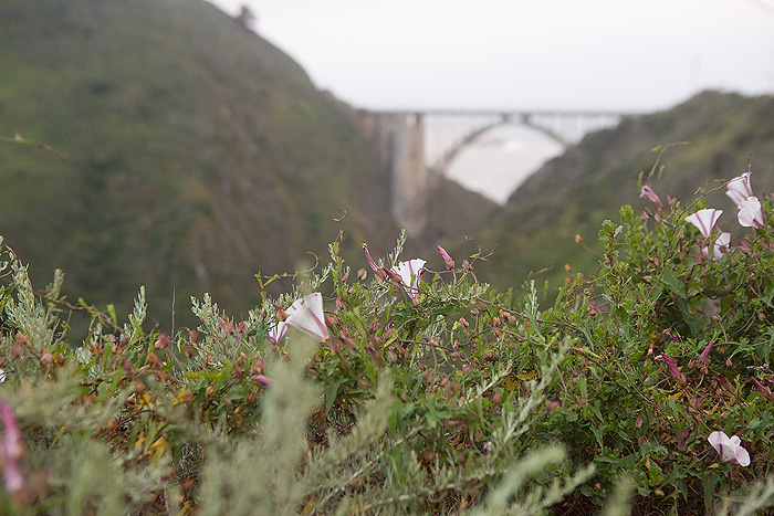 www.PSquaredStudios.com | Family Photographer | Big Sur, California