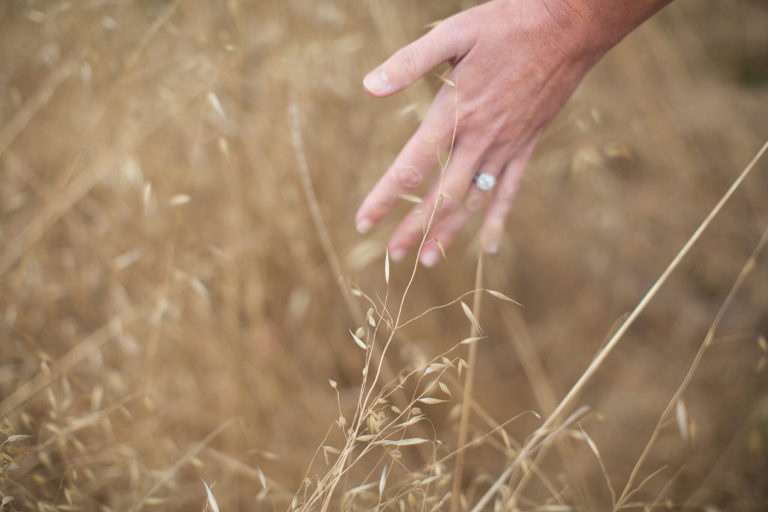 www.PSquaredStudios.com | Maternity Photographer | Santa Cruz, California