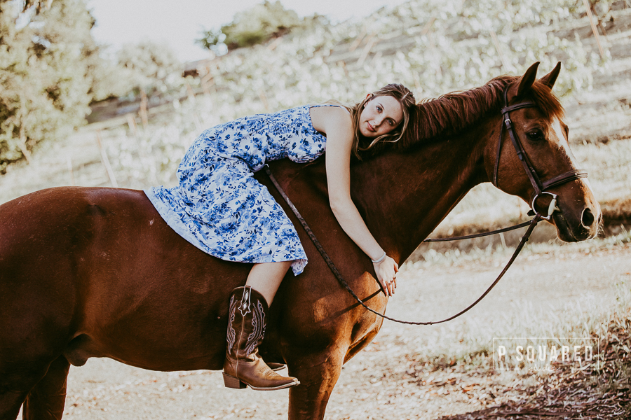 Katheryn | equine